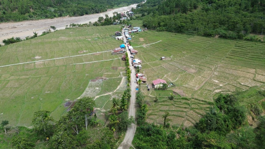 Area Persawahan 